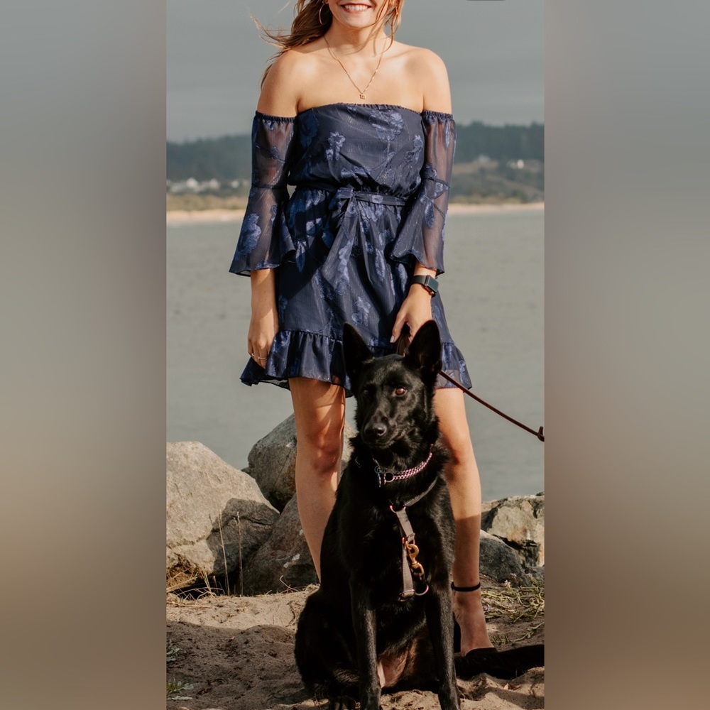 Macys City Studio Blue Floral Sparkly Off The Shoulder Dress